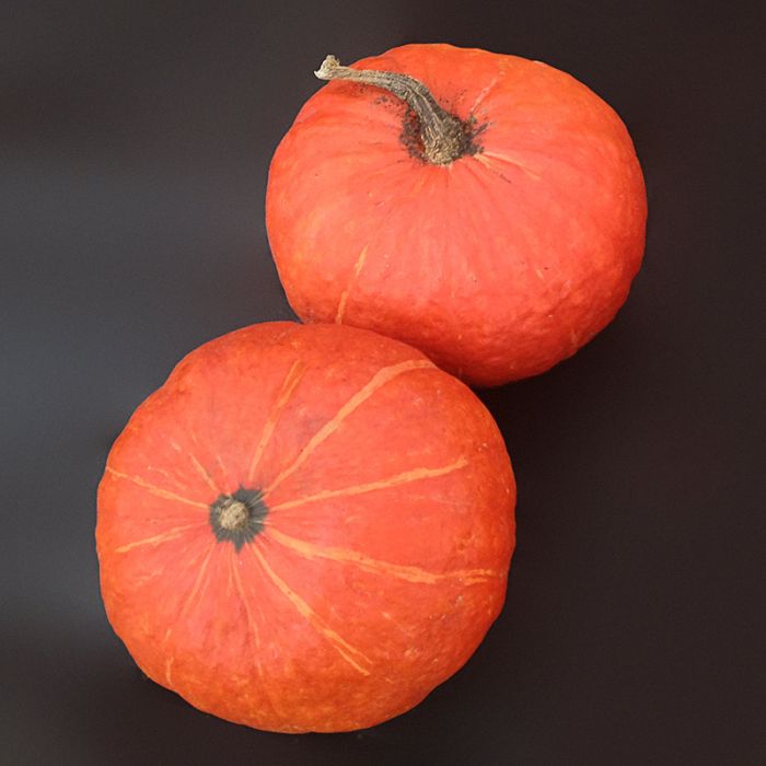 Pumpkin - Ambermax