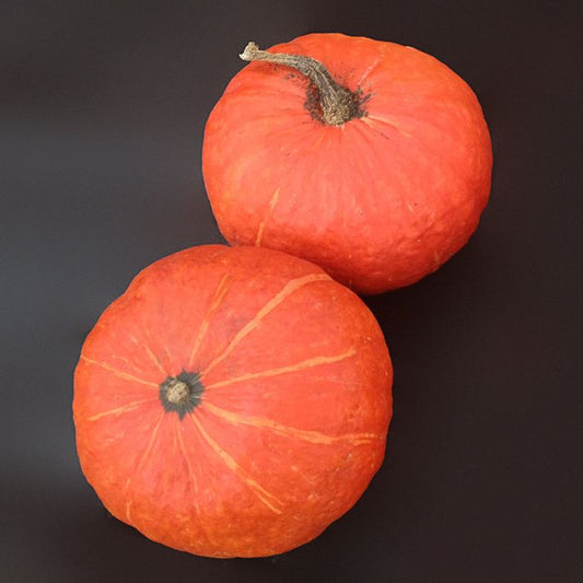 Pumpkin - Ambermax