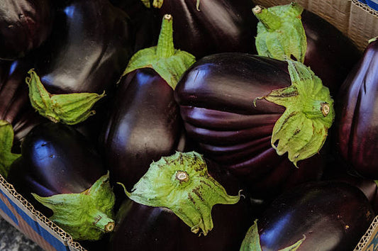 Aubergine - Black Beauty