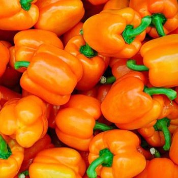 Pepper - California Orange