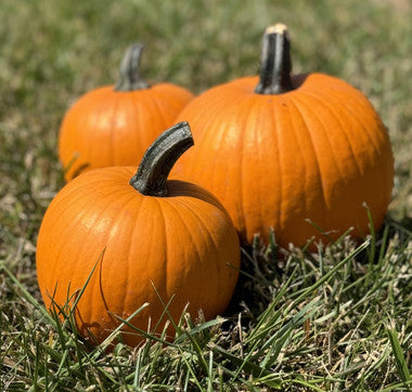 Pumpkin - Chucky