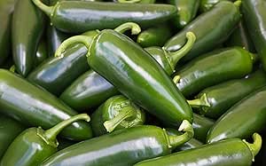 Chilli - Jalapeno (2.5K - 8.5K SHU)