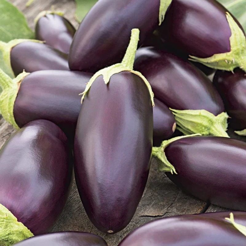 Aubergine - Jewel Jet