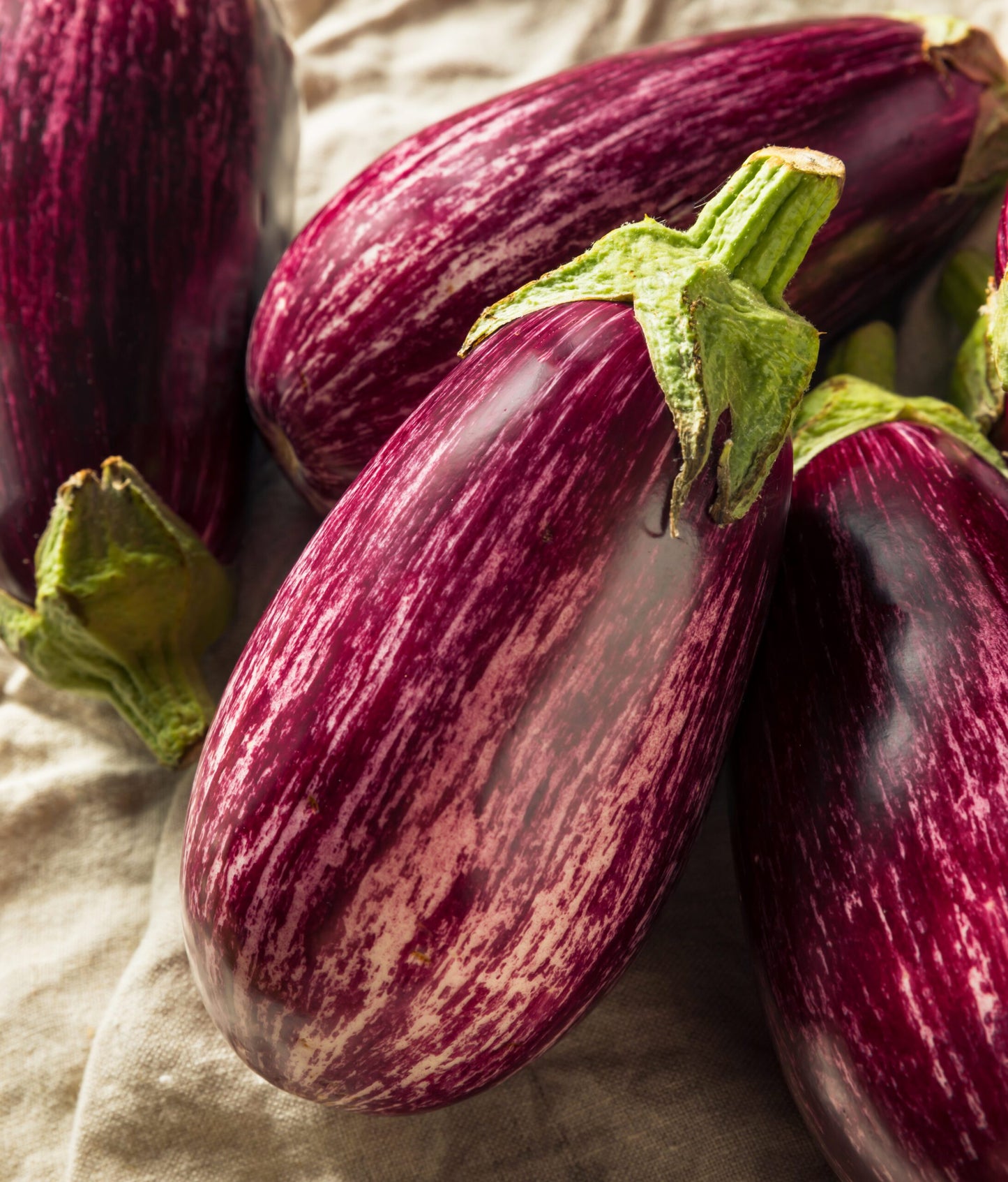 Aubergine - Jewel Marble