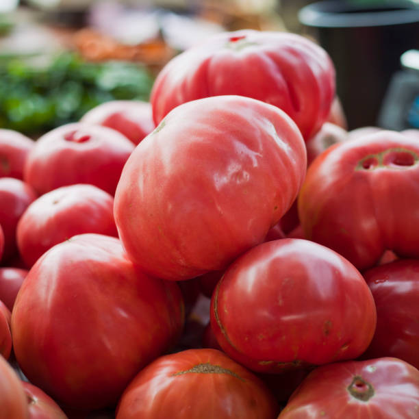 Tomato - Raspberry (Malinowy)