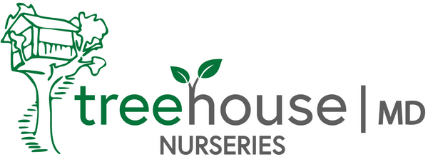 TreehouseMD